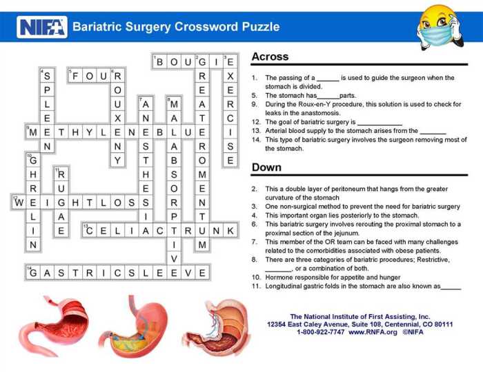 First aid crossword puzzle answer key