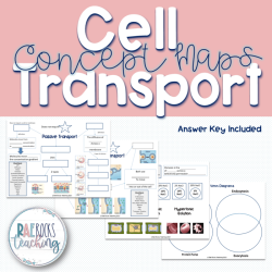 Cell transport review worksheet pdf