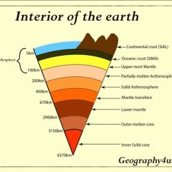 Match correct characteristic its phylum each class