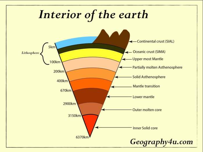 Match correct characteristic its phylum each class