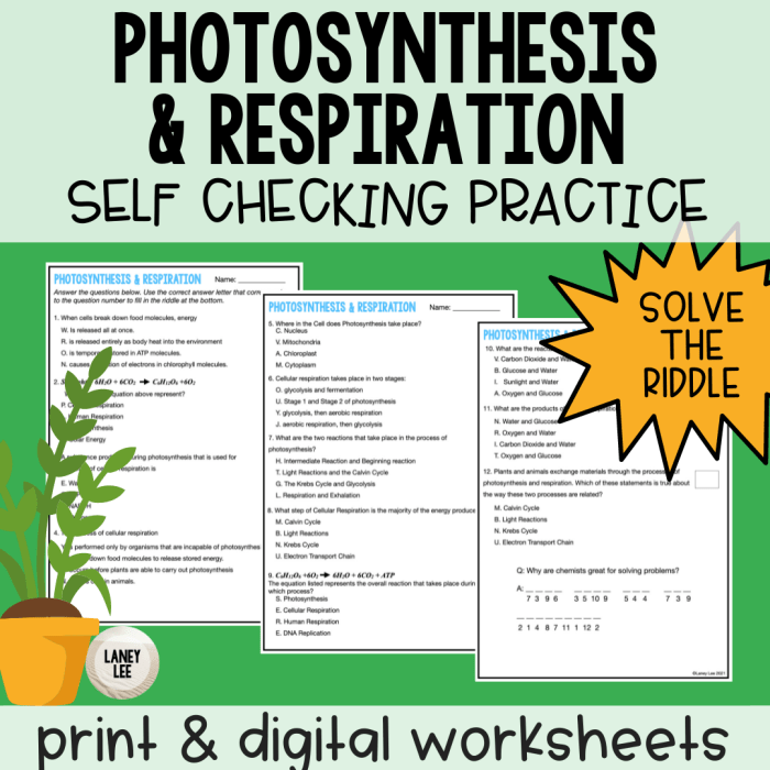 Comparison of photosynthesis and cellular respiration worksheet