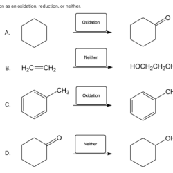 Half reactions following adding balance electrons number appropriate oxidation solved transcribed text show problem been has